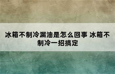 冰箱不制冷漏油是怎么回事 冰箱不制冷一招搞定